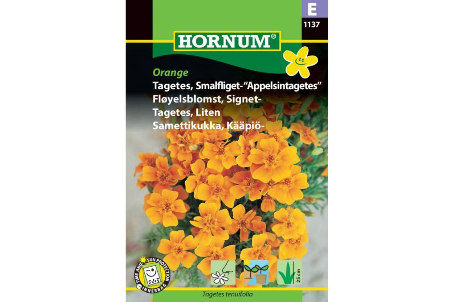 Fløyelsblomst 'Tagetes Signet Orange' – Duftende og Spiselig Blomsterprakt