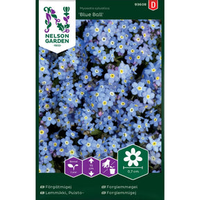 Forglemmegei Blue Ball med små blå blomster i blomsterbed