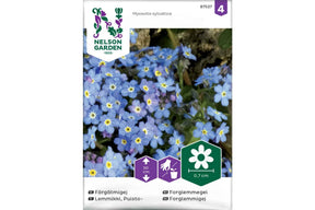 Kompakt forglemmegei med tette himmelblå blomster langs kanten