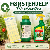 Førstehjelp til planter – Limfeller, Aminosol og insektspray