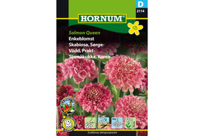 Enkeblomst med lakserosa blomster på slanke stilker