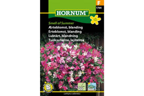 Hengende erteblomst med sterkt duftende blomster i flere farger