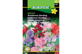 Klatrende erteblomst med store, velduftende blomster på stilker