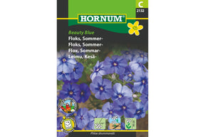 Sommerfloks med klare blå blomster samlet i tette klaser