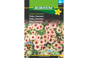 Sommerfloks med aprikosrosa blomster i myke, varme nyanser
