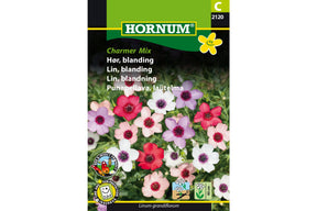 Hørblomst med rosa blomster i hagen, rik og lang blomstring