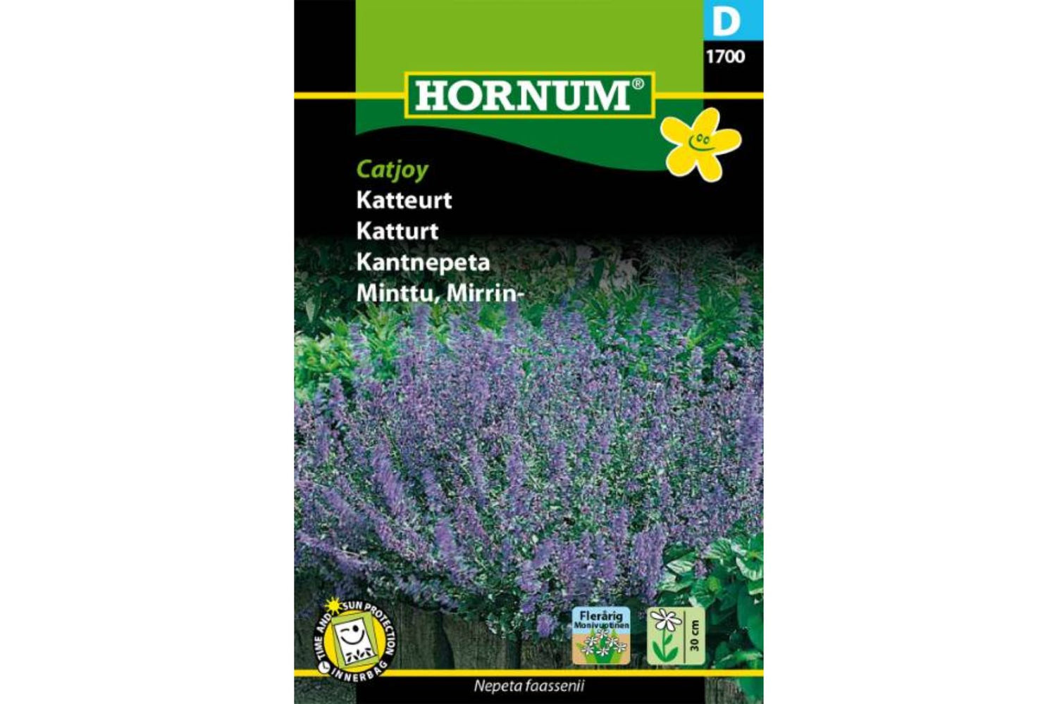 Frø Katteurt ‘Catjoy’ – Duftende plante for hage og katt