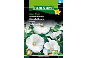 Store hvite blomster på mamelukkerme i sommerbed
