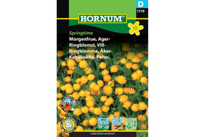 Morgenfrue med kremgule blomster og mørkt senter
