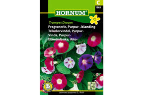 Pragtsnerle med store trompetformede blomster på klatrende ranker
