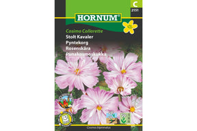 Fargerik pyntekorg med store blomster i sommerbed
