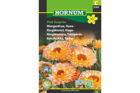 Fylte ringblomster i varme rosa, laks og oransje toner
