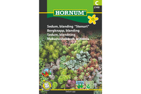 Lavtvoksende sedum med dekorative blader i varierende fargetoner