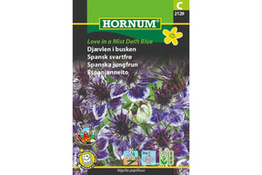 Dekorativ spansk svartfrø med fine blomster og markante frøkapsler