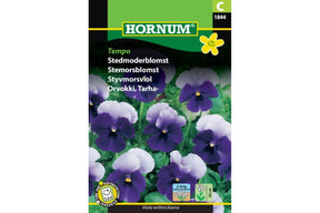Stemorsblomst med blå og sølvhvite kronblader i tett blomstring