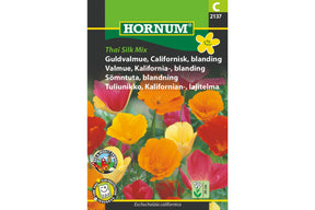 Fargerike californiavalmuer med halvfylte blomster som svaier lett i solen