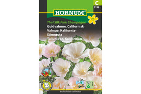 Halvfylte californiavalmuer i sart rosa og pudderaktige toner