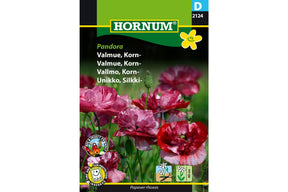 Doble kornvalmuer i myke romantiske farger