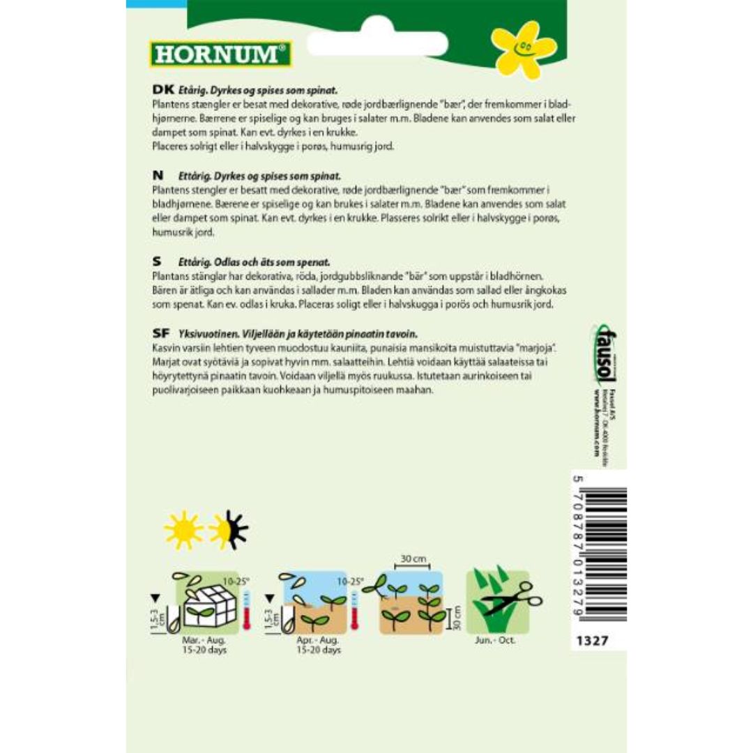 Jordbærspinat dyrket i kjøkkenhage med spiselige blader og dekorative bær.