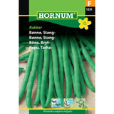 Stangbønne ‘Rakker’ med grønne, trådfrie belger som henger i bunter.