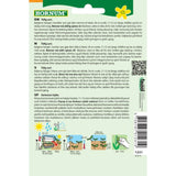 Stangbønne ‘Rakker’ dyrket på stativ i solrik kjøkkenhage.