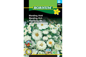 Ettårig blomsterblanding i rene, rolige hvite toner
