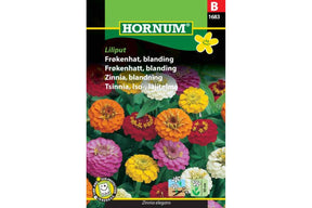 Lav sinnia med små, sterke fargerike blomster i bedet