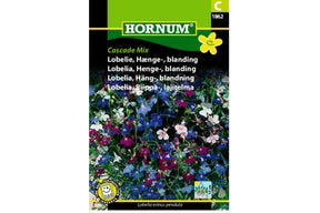 Hengende lobelia med små blomster i flere farger
