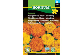 Fargerike morgenfruer med tettfylte blomster i sommerbed
