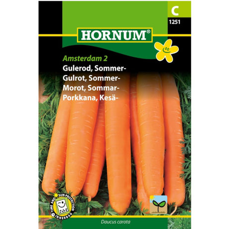 Gulrot ‘Amsterdam 2’ med lange, glatte røtter