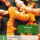 Gurkemeieplante med grønne blader og rosa blomster i krukke.