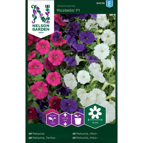 Hagepetunia Picobella i flere farger i balkongkasse