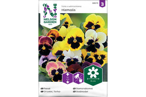 Frøpakke med hagestemorsblomst som gir tidlig og fargerik blomstring