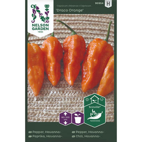 Sterk oransje chili Draco Orange