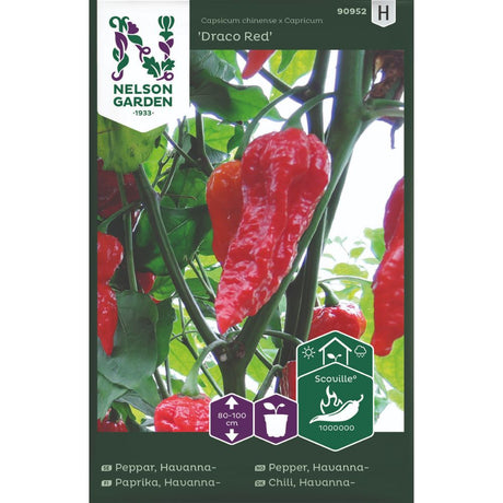 Havannapepper Draco Red med røde frukter