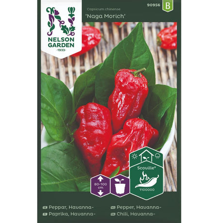 Havannapepper Naga Morich på plante