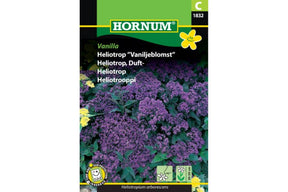 Frøpakke med ettårig heliotrop med duftende lilla blomster