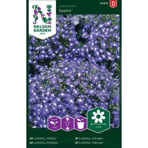 Hengelobelia Saphir med blå blomster i balkongkasse