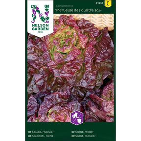 Hodesalat Merveille des quatre saisons i bed