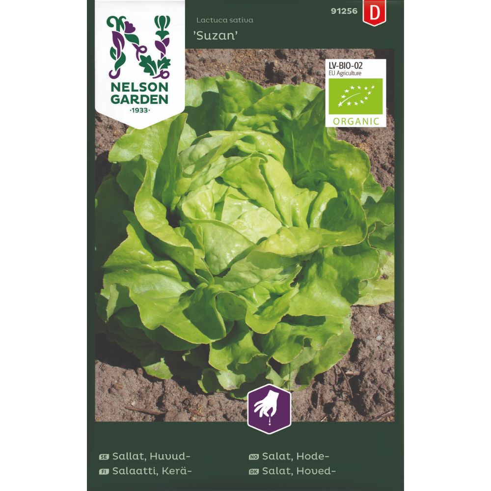 Hodesalat Suzan med faste salathoder