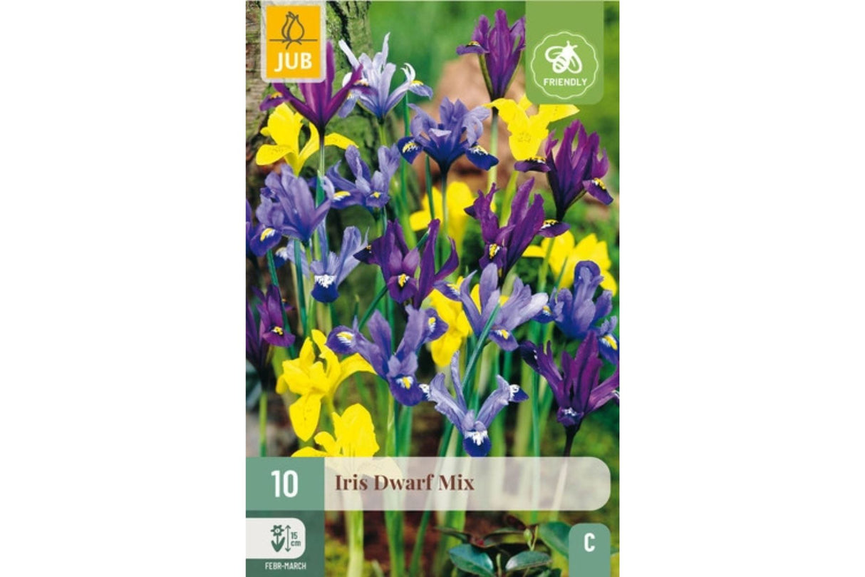 Dvergiris fargemiks – Tidligblomstrende våriris i flere farger (15 blomsterløk)