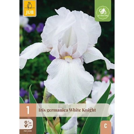 Hageiris White Knight med store hvite blomster