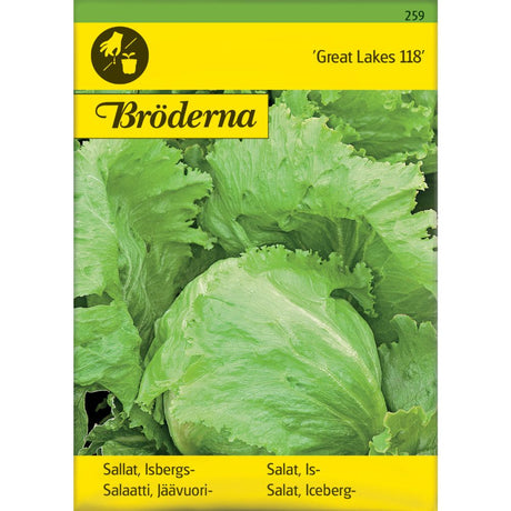 Isbergsalat ‘Great Lakes 118’ med fast, sprøtt hode