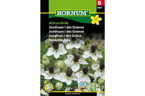 Frø av jomfruen i det grønne med hvite blomster
