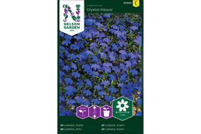 Frøpose med kantlobelia som gir blå blomster og mørkt bladverk