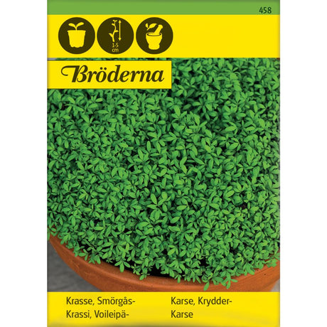 Frisk karse dyrket i skål på kjøkkenbenk