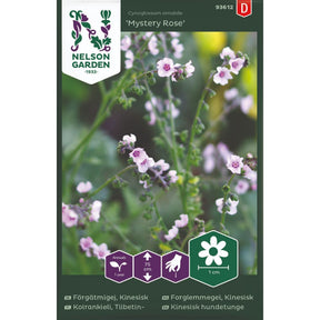 Kinesisk forglemmegei Mystery Rose med lyserosa blomster i blomsterbed