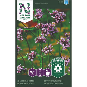 Kjempeverbena med lillafiolette blomster på høye stilker i blomsterbed