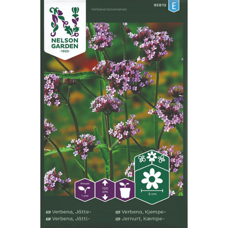 Kjempeverbena med lillafiolette blomster på høye stilker i blomsterbed