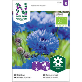 Økologisk høy kornblomst i blomsterbed